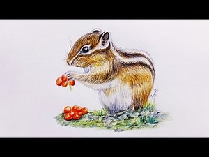 How To Draw A Realistic Chipmunk | Step by Step with Colored Pencils for Beginners