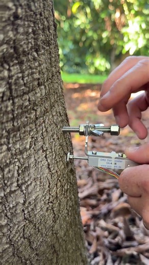 How to install Trunk Dendrometer (DR3)
