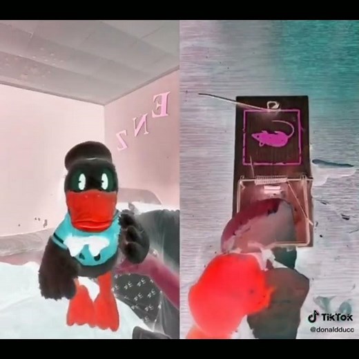 Donald Duck And The Mouse Trap in G Major 1 2.0