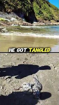 A hike that ends with a lighthouse view? Yes, please!