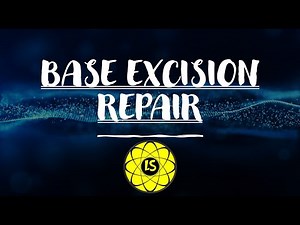 Base Excision Repair