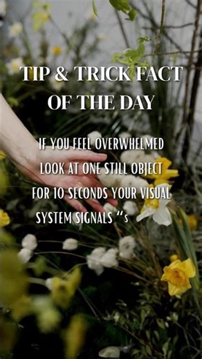 Daily Tip: Calm Overwhelm Instantly