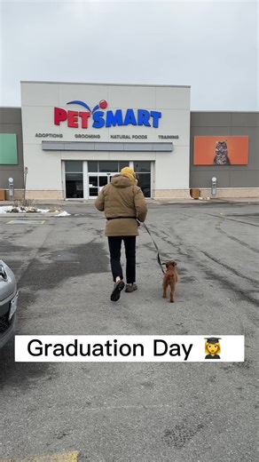 Graduation day 👩‍🎓 #petsmart #puppy #puppyschool
