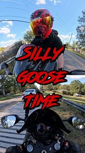 12K views · 753 reactions | Its Silly Goose Time! #bikelife #motorcycle #funny | Ride With Danger | Facebook