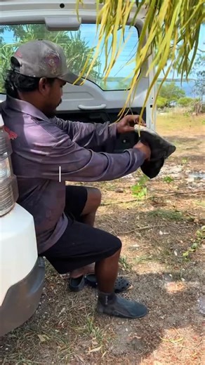 Ava and Brad on Instagram: "Red curry crab 🦀🤤 #chefbrad #catchandcook #bushlife"