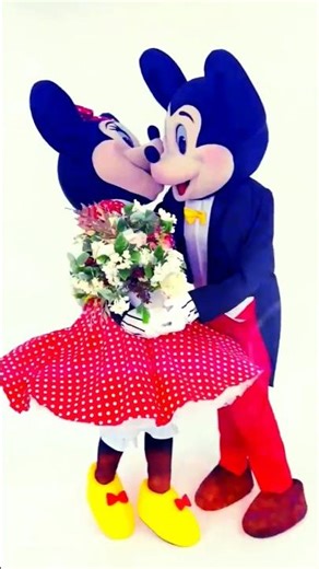 Mr & Mrs Mascots 💕✨ | New Collection for Romantic Events & Love Stories