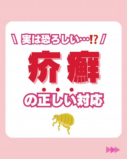 疥癬の感染症に関する看護師の知識まとめ