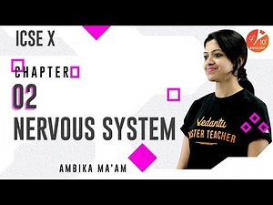 Nervous System L-2 | The Central Nervous System | ICSE Class 10 Biology Chapter 10 | Vedantu 9 & 10