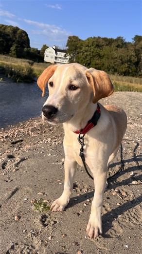 35K views · 565 reactions | Hi! I'm Tadpole! Not sure how I got my...