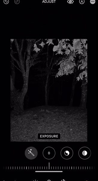 Think we saw something.