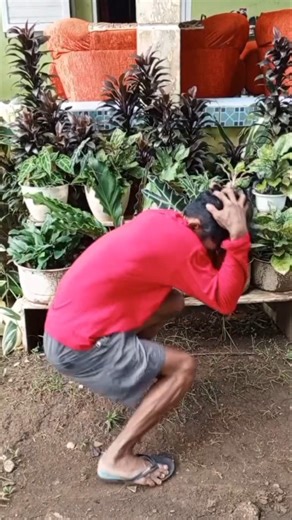 mau ketawa takut dosa video lucu bikin ngakak hiburan warga+62 funny videos