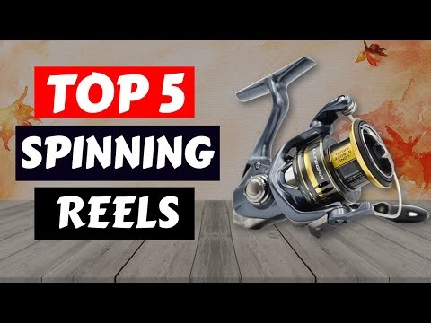 Top 5 Best Spinning Reels of 2025 | Reviews You Can't Miss!