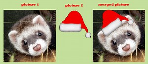 Multiple textures on a cube