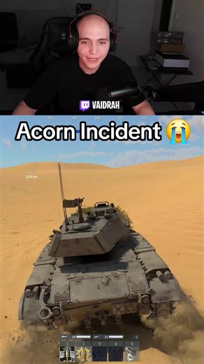 Acorn incident 😭 #warthunder #bodycam