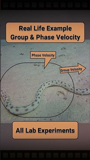 OMG - Group & Phase Velocity | Quantum Mechanics #sachinsir #physics #csirnet