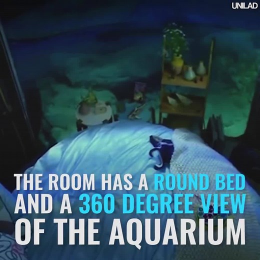 There's officially an underwater bedroom that you can stay in and literally sleep with the fishes... | UNILAD