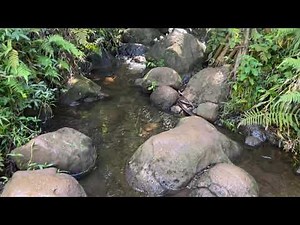 Haena State Park the Kalalau Trail in Kauai