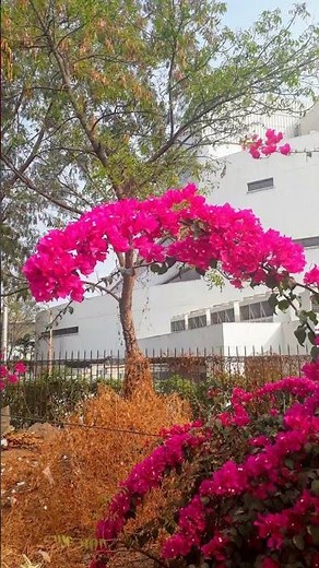 The Lighting Trick That Makes Photos Pop #photographytips #tutorial