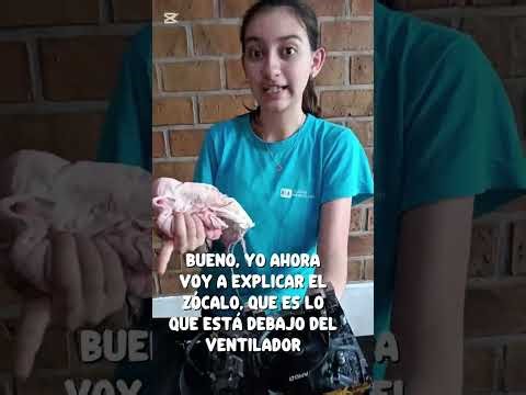 Proceso de limpieza de una CPU. Estudiantes de 4to Año "A"