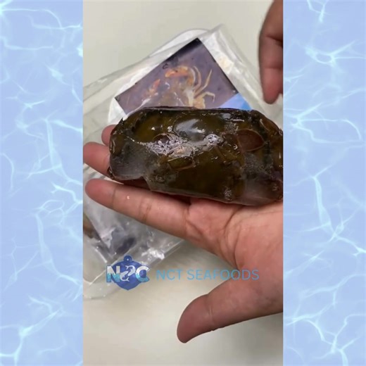 SOFT SHELL CRAB!🦀 We offers a deliciously indulgent experience for seafoods lovers.Featuring premium soft shell crab sourced through NCT SEAFOODS trusted supply chain committed to quality and freshness, every serving ensures a taste of the ocean at its finest. ✅NEW ARRIVAL ✅FROZEN FRESH ✅CLEAN,SEALED PACKAGING Location:📍 60 Pampano St. Longos Malabon City Contact No: ( 63) 909-750-6494 ( 63) 956-249-4977 Lowest price guaranteed! ❤️ For complete product list, message us "PRICELIST" | NCT Seafoo