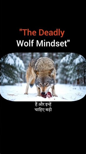 WOLVES Are Not Your Average Pets Because They're Extremely SMART?#shorts #mindset #motivation
