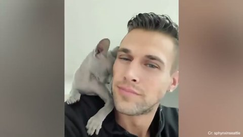 Funny Cat and Human Moments That Will Make You Explode Laughing