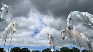 22K views · 15K reactions | The herd of 5 windhorses lights up a sky of dark clouds #giantpuppets #puppetryarts #straßentheater #walkingacts #puppenspieler #puppetry #horseshow #spectacleequestre | Pantao.de Masken- und Stelzentanztheater | Facebook
