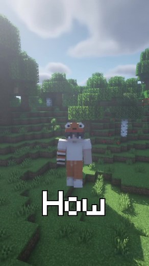 How Many Blocks are in a Minecraft Chunk? Explained