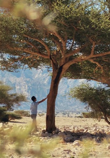 ‏Nature’s masterpiece 🌿 #NEOM