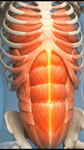 Sit-Ups Kaise Kare? Sahi Tarika (No Neck Pain) 😳 #bodytransformation #fitnessscience