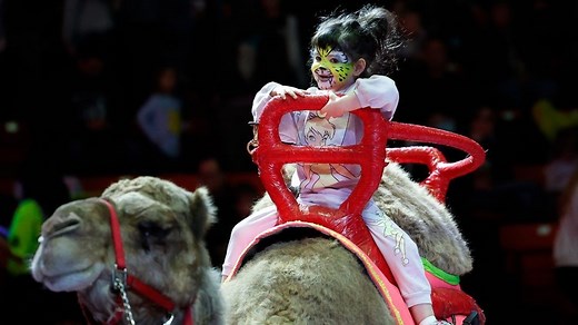 Glow Circus Spectacular set to light up Resch Center with dazzling performances