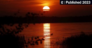 Mammals’ Time on Earth Is Half Over, Scientists Predict