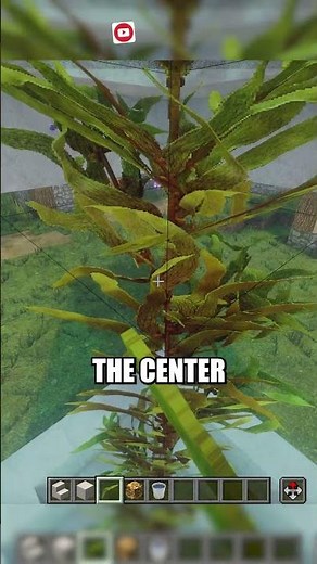 Minecraft Decorative Kelp Fountain (Easy Water Feature Build) #minecraft #minecrafttutorial