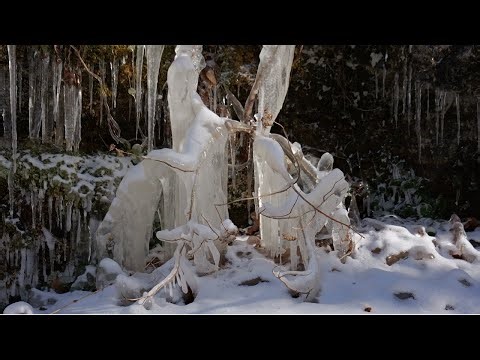 Snowtorm and Icicles