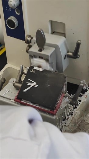 Effective Language Learning Strategies in the Lab