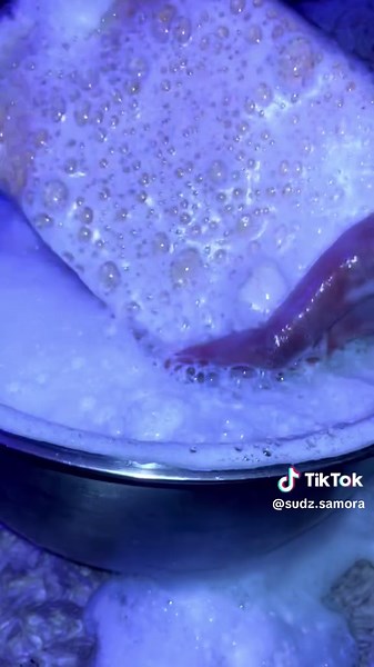 Oldest Sponge in My Collection: A CleanTok Showcase