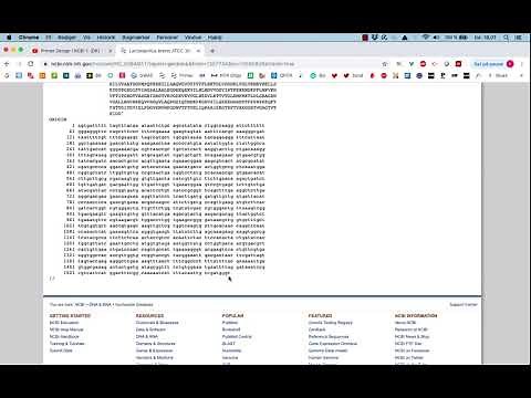 Primer Design Using NCBI #1 (Eng)