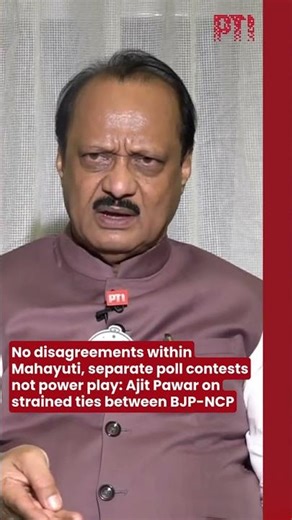 No disagreements within Mahayuti, separate poll contests not power play: Ajit Pawar