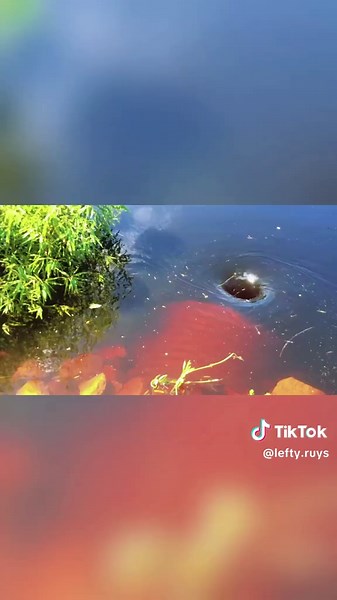 Create a Water Vortex with a Simple Trick