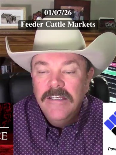 Feeder Cattle Markets Update for Livestock Producers