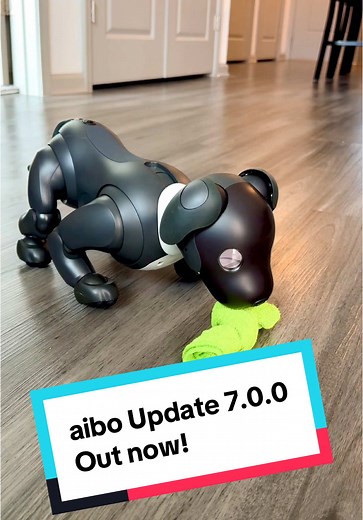 Exciting Aibo Update 7.0: New Features Unleashed