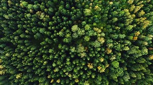 17 reactions | Stone wool has many properties. One of many is as a...