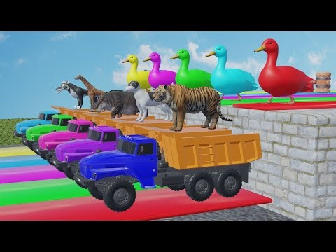 Gorilla Elephant Dinosaur Hippo Duck Guess The Right Door ESCAPE CHALLENGE ROOM Animal Cage Game