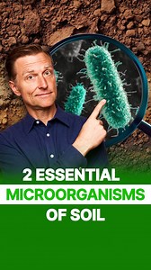 23 reactions | Two essential microorganisms play a crucial role in...