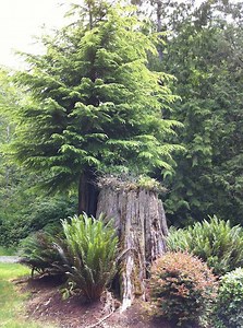 First Images and HD Video Footage From iPhone 4