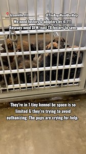 4.5K reactions · 695 comments | What are your pets’ names? Staying...