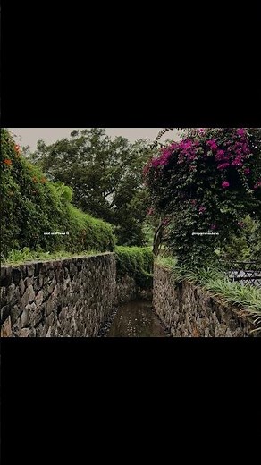 Capture by iPhone 13 Basic model #cinematic #iphone #davinciresolve #log #iphone13