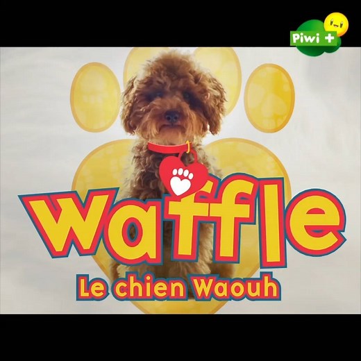 🎶 WAFFLE WAFFLE 🎶 ! Le chien le plus waouh 🤩 a désormais sa chanson en version karaoké ! 🎤👦 ▶ Retrouvez WAFFLE, LE CHIEN WAOUH, tous les jours à 17h30 ⏰ sur Piwi et myCANAL | CANAL Kids