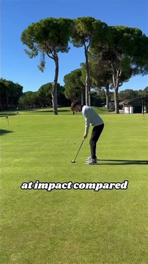 Scottie Scheffler's New Mallet Putter Tested! #golf #golfclub