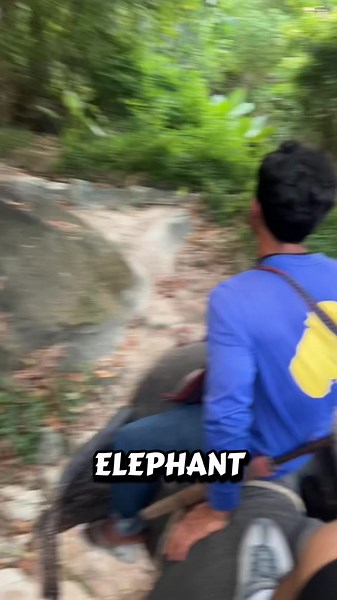 Marquee Setup Services Across the UK